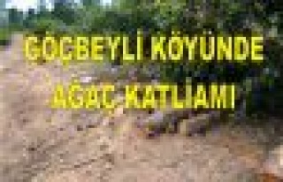 GÖÇBEYLİ'DE  AĞAÇLAR KESİLİYOR 