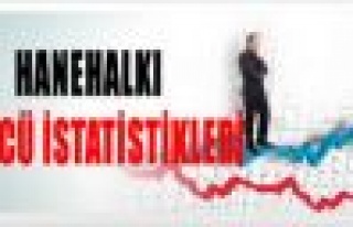 İşgücü İstatistikleri, Aralık 2014