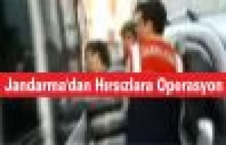 Jandarma'dan Hırsızlara Operasyon