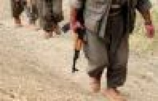 Kaçırılan askerin şaşırtan açıklaması “kırsalı...