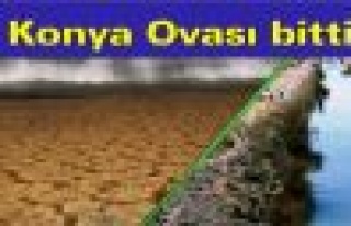 Konya Ovası bitti