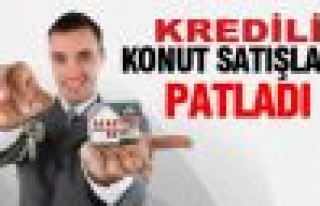 Kredili Konut satışları patladı