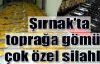 MARDİN Emniyetinden Şırnak'ta PKK'ya büyük darbe