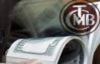 Merkez'den Dolara yeni hamle, rekor döviz satım...