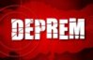 Muğla'da 4 Şiddetinde Deprem