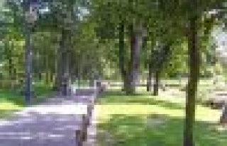 Parklarda Sigara İçmek Yasaklandı