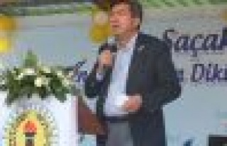 ŞAÇAK BELDESİ GELENEKSEL FİDAN DİKME FESTİVALİ...