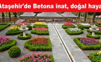 Ataşehir'de Betona inat, doğal hayat