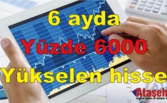 6 ayda yüzde 6000 yükselen hisse