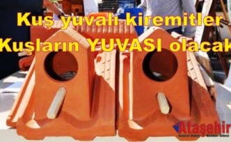 Kuş yuvalı kiremitlerle Kuşların yuvası olacak