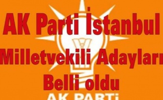 AK Parti İstanbul Milletvekili Adayları