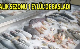  Balık Sezonu 1 Eylülde Başlıyor