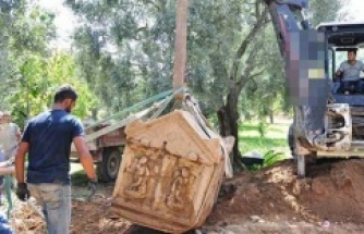 İznik'te Zeytin bahçesinden lahit fışkırıyor