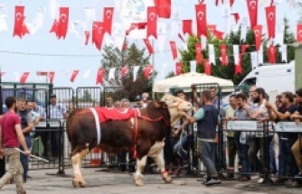 Kurbankent Güzeli ‘Dadaş’ Oldu