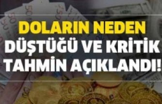 Dolar neden düşüyor, değer kaybı sürecek mi?