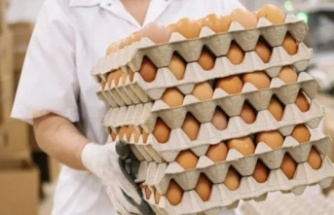 Yumurta Dünya'da kıymetlendi
