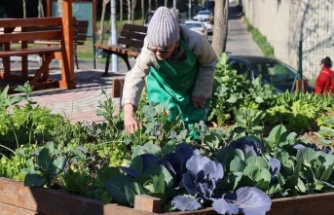 ATAŞEHİR KENT BOSTANLARI İÇİN BAŞVURULAR BAŞLIYOR