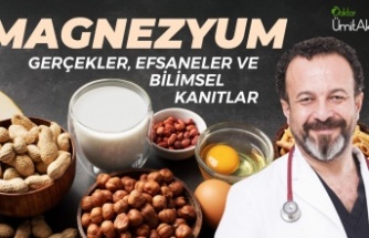 MAGNEZYUMDA ASIL OLAN EMİLİM ORANIDIR