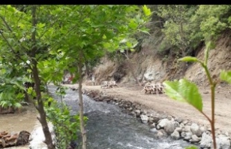 Balliöz Tayşa, Restoran, Antakya, Hatay