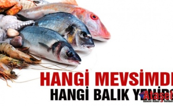 Hangi balık türleri hangi aylarda yenir