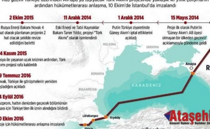 Putin Türk Akımı çalışmalarını başlatırken, Türkçe 'İleri!' dedi