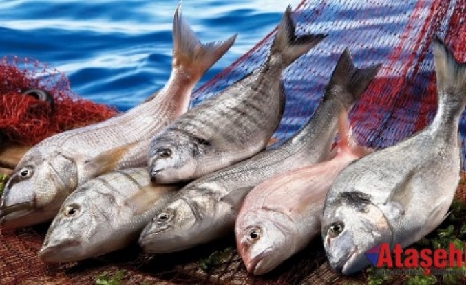 Balık, Anadolu’da 5 bin yıllık tarihe sahip