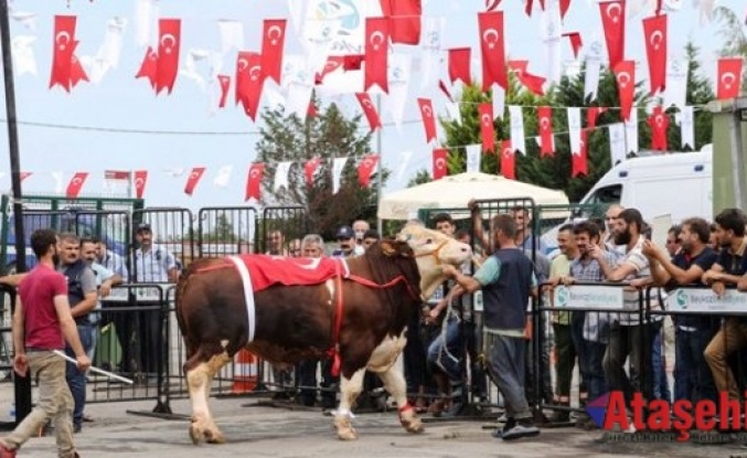 Kurbankent Güzeli ‘Dadaş’ Oldu