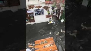 İzmir Seferihisar Deprem Tsunami Görüntüsü 22