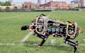 Robot koşmayı öğrendi, MIT Robotic Cheetah