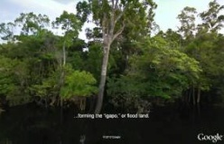 Google Street View ile Amazon Turu, Street View for the Amazon - Tour of the Rio Negro 